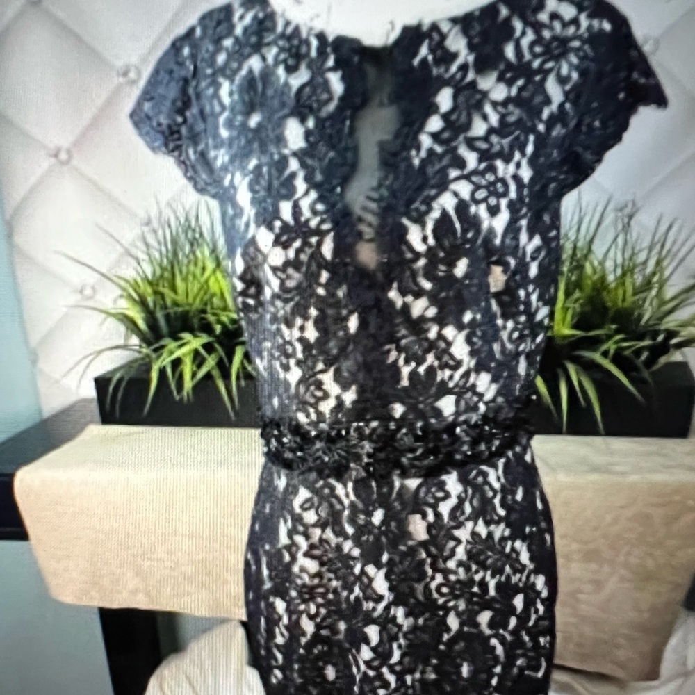 ML Monique Lhuillier Black Lace Over White Lining MIDI Dress